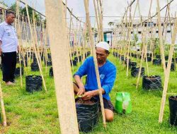 Lapas Banjar Gencarkan Pelatihan Kemandirian Warga Binaan