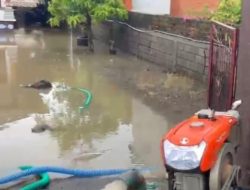 Bali Tewas Tersetrum Listrik saat Banjir Kepung Jembrana