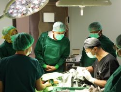 Transformasi Layanan Kesehatan hingga Operasi Bibir Sumbing