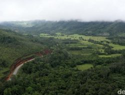 Borneo Berasal dari Sejarah Penjelajah Eropa