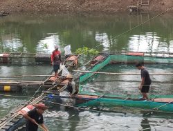 Kolam Ikan Banjar Irigasi, DKPP Mulai Pendataan Bertahap